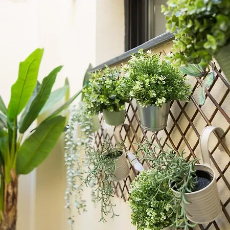 Serranos 24 Rector Cobos Apartamento