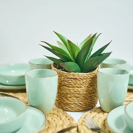 Serranos 24 Rector Cobos Salamanca