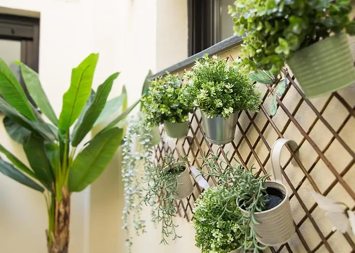 Serranos 24 Rector Cobos Apartamento