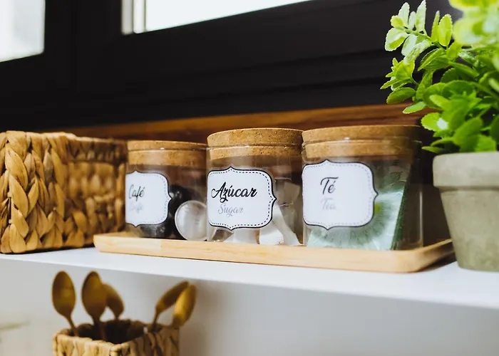 Apartamento Serranos 24 Rector Cobos